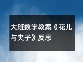 大班数学教案《花儿与夹子》反思
