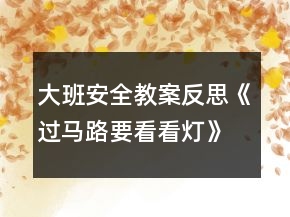 大班安全教案反思《过马路要看看灯》