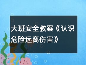 大班安全教案《认识危险、远离伤害》反思