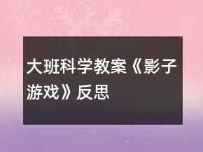 大班科学教案《影子游戏》反思