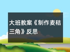 大班教案《制作麦秸三角》反思