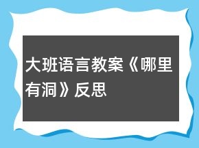 大班语言教案《哪里有洞》反思
