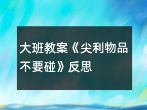 大班教案《尖利物品不要碰》反思