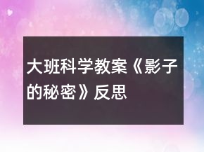 大班科学教案《影子的秘密》反思