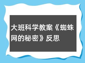 大班科学教案《蜘蛛网的秘密》反思