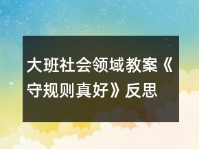 大班社会领域教案《守规则真好》反思