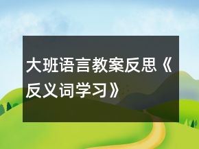 大班语言教案反思《反义词学习》