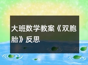 大班数学教案《双胞胎》反思