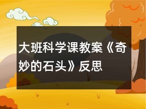 大班科学课教案《奇妙的石头》反思