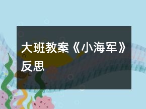 大班教案《小海军》反思