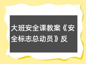 大班安全课教案《安全标志总动员》反思