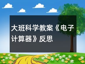 大班科学教案《电子计算器》反思