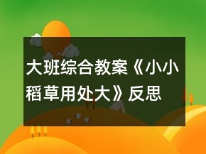大班综合教案《小小稻草用处大》反思