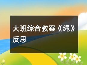 大班综合教案《绳》反思