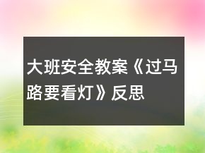 大班安全教案《过马路要看灯》反思