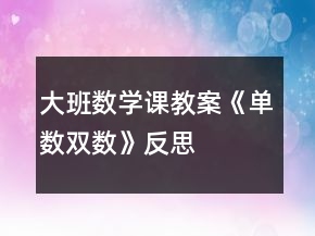 大班数学课教案《单数、双数》反思