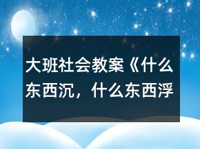 大班社会教案《什么东西沉，什么东西浮》反思