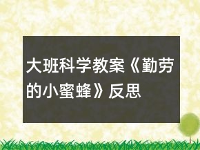 大班科学教案《勤劳的小蜜蜂》反思