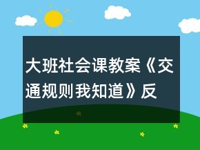 大班社会课教案《交通规则我知道》反思