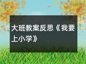 大班教案反思《我要上小学》