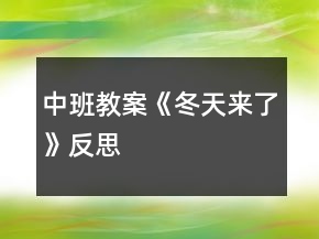 中班教案《冬天来了》反思
