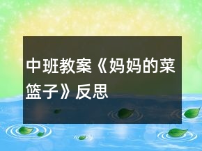 中班教案《妈妈的菜篮子》反思