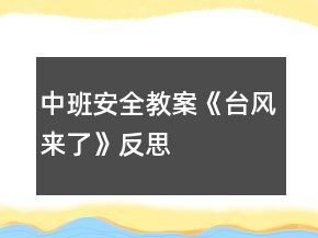 中班安全教案《台风来了》反思