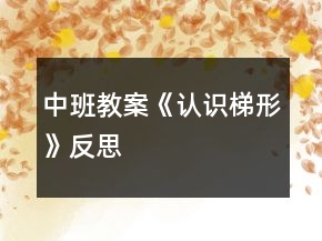 中班教案《认识梯形》反思