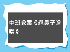 中班教案《翘鼻子噜噜》