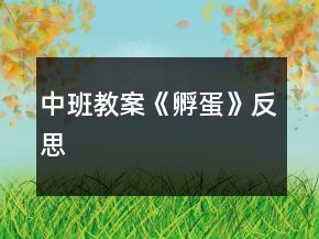 中班教案《孵蛋》反思