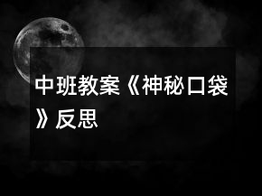 中班教案《神秘口袋》反思