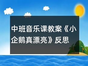 中班音乐课教案《小企鹅真漂亮》反思