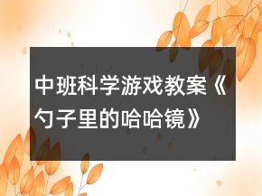 中班科学游戏教案《勺子里的哈哈镜》反思