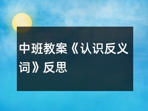 中班教案《认识反义词》反思