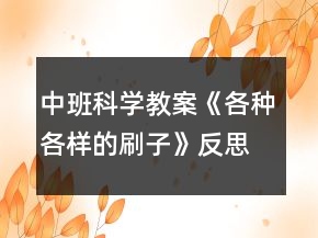 中班科学教案《各种各样的刷子》反思