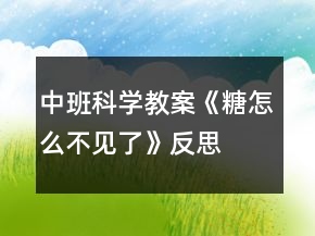 中班科学教案《糖怎么不见了》反思