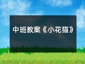 中班教案《小花猫》