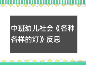 中班幼儿社会《各种各样的灯》反思