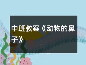 中班教案《动物的鼻子》
