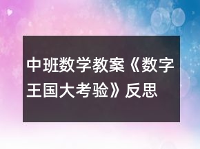 中班数学教案《数字王国大考验》反思