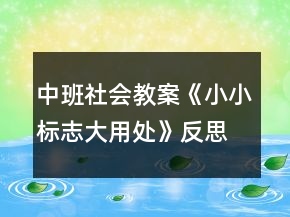 中班社会教案《小小标志大用处》反思