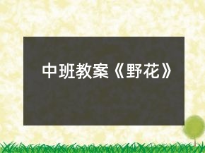 中班教案《野花》