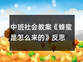 中班社会教案《蜂蜜是怎么来的》反思