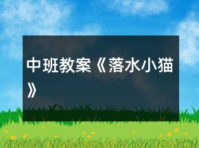 中班教案《落水小猫》