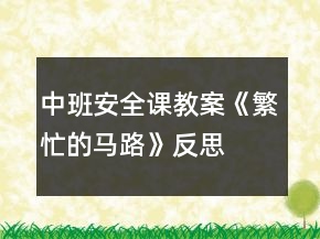 中班安全课教案《繁忙的马路》反思