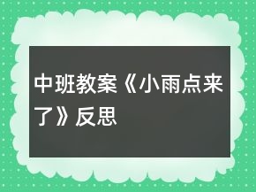 中班教案《小雨点来了》反思