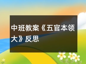 中班教案《五官本领大》反思