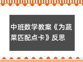 中班数学教案《为蔬菜匹配点卡》反思