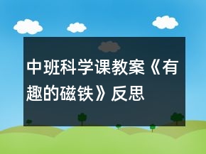 中班科学课教案《有趣的磁铁》反思