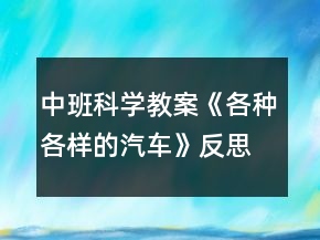 中班科学教案《各种各样的汽车》反思